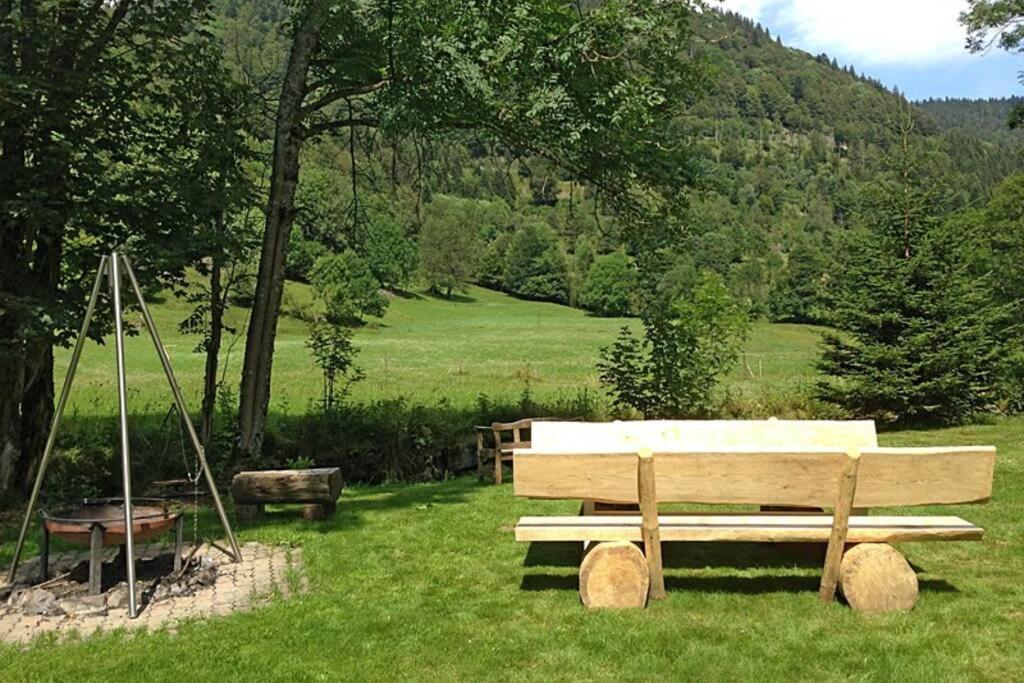 Haus Wiesengrund-Fahl, Fewo 7 Todtnau Eksteriør bilde